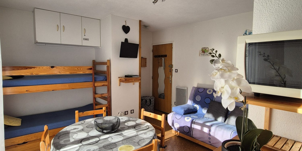 appartement à ST LARY SOULAN (65170)